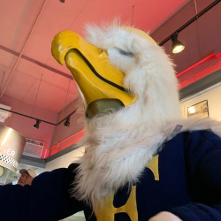 Sammy Seagull